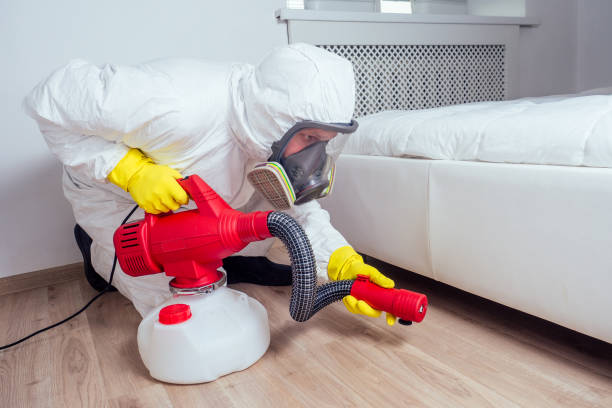 Best Pest Prevention Services  in Vineyard Haven, MA