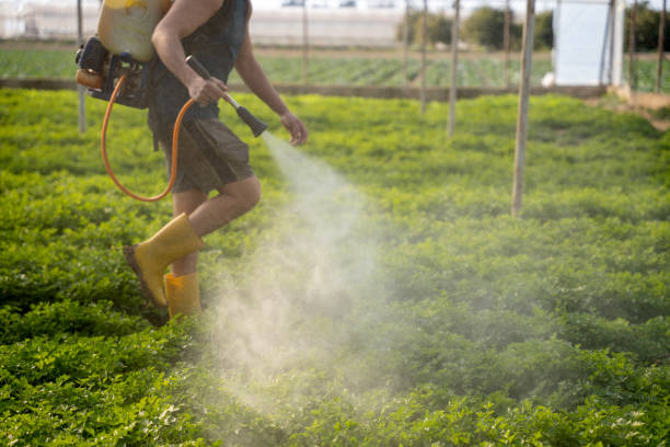Best Mosquito Control Services  in Vineyard Haven, MA
