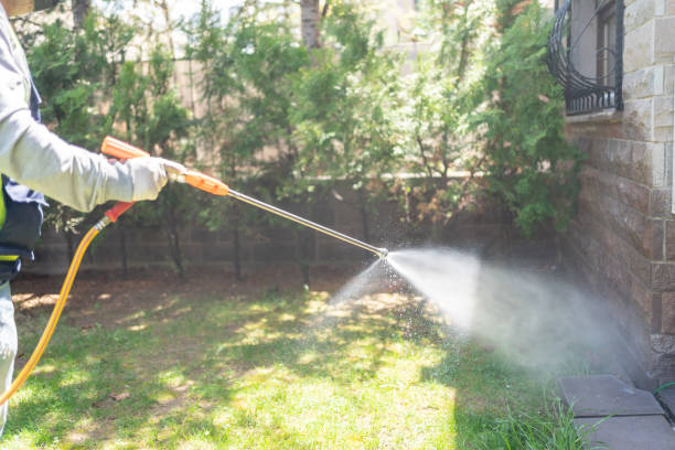 Best Wasp Removal Services  in Vineyard Haven, MA